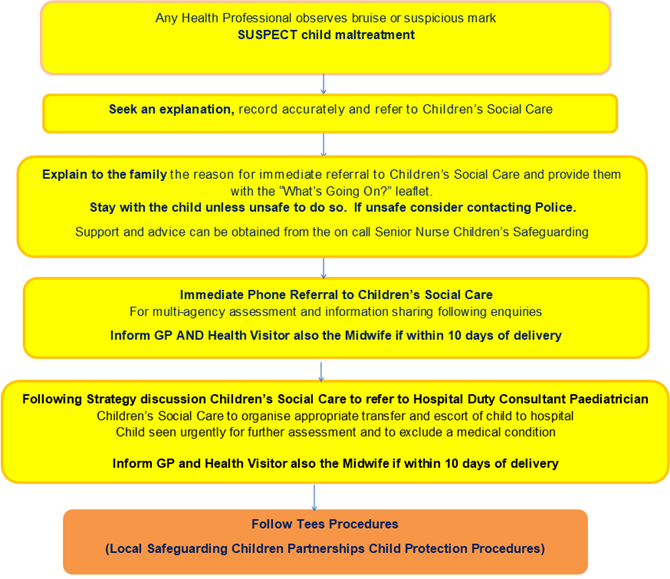 Bruising on Non Mobile Babies Tees Safeguarding Children Partnerships